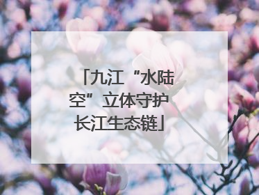 九江“水陆空”立体守护长江生态链