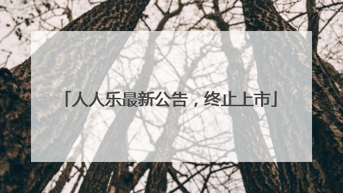 人人乐最新公告，终止上市