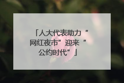 人大代表助力“网红夜市”迎来“公约时代”