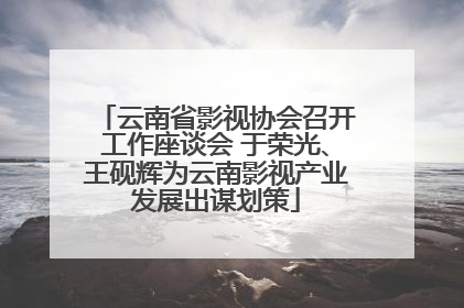云南省影视协会召开工作座谈会 于荣光、王砚辉为云南影视产业发展出谋划策