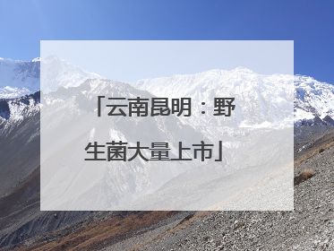 云南昆明：野生菌大量上市