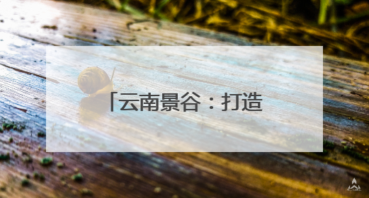 云南景谷：打造“心育共同体”织密 青少年心理健康防护网