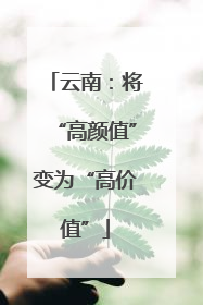 云南：将“高颜值”变为“高价值”