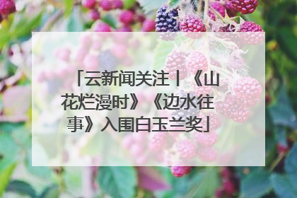 云新闻关注丨《山花烂漫时》《边水往事》入围白玉兰奖