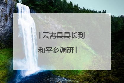 云霄县县长到和平乡调研