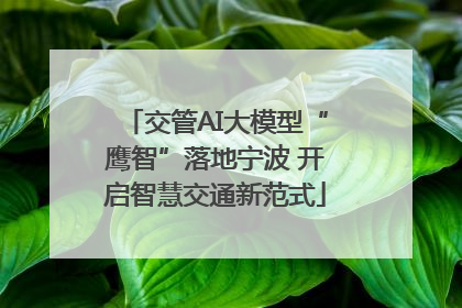 交管AI大模型“鹰智”落地宁波 开启智慧交通新范式