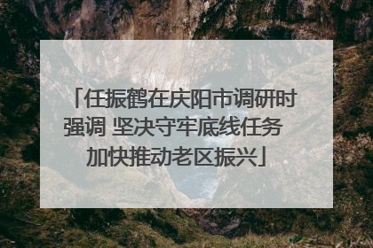 任振鹤在庆阳市调研时强调 坚决守牢底线任务 加快推动老区振兴