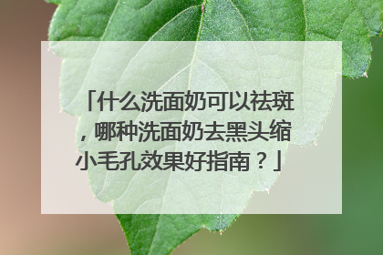 什么洗面奶可以祛斑，哪种洗面奶去黑头缩小毛孔效果好指南？