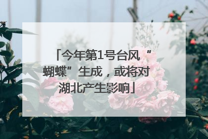 今年第1号台风“蝴蝶”生成，或将对湖北产生影响