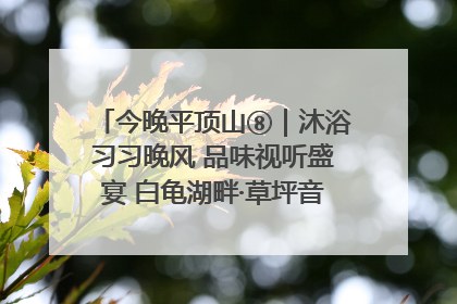 今晚平顶山⑧｜沐浴习习晚风 品味视听盛宴 白龟湖畔·草坪音乐会激情上演