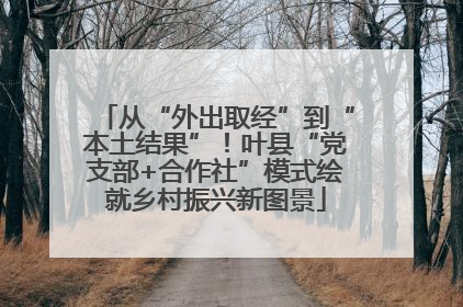 从“外出取经”到“本土结果”！叶县“党支部+合作社”模式绘就乡村振兴新图景
