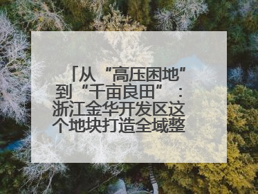从“高压困地”到“千亩良田”：浙江金华开发区这个地块打造全域整治示范样本