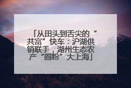 从田头到舌尖的“共富”快车：沪湖供销联手，湖州生态农产“圈粉”大上海