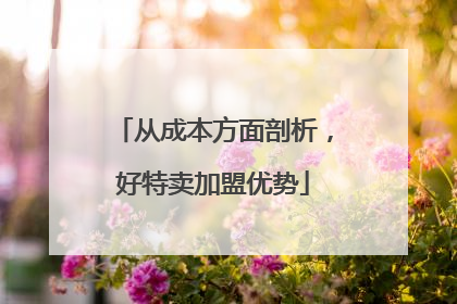 从成本方面剖析，好特卖加盟优势