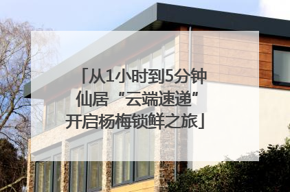 从1小时到5分钟 仙居“云端速递”开启杨梅锁鲜之旅