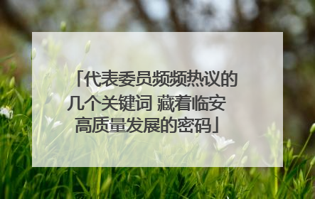 代表委员频频热议的几个关键词 藏着临安高质量发展的密码