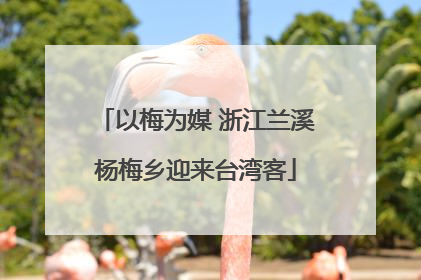 以梅为媒 浙江兰溪杨梅乡迎来台湾客