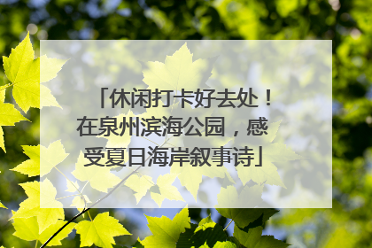 休闲打卡好去处！在泉州滨海公园，感受夏日海岸叙事诗