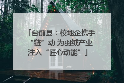 台前县：校地企携手“链”动 为羽绒产业注入“匠心动能”