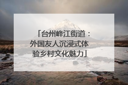 台州峰江街道:外国友人沉浸式体验乡村文化魅力