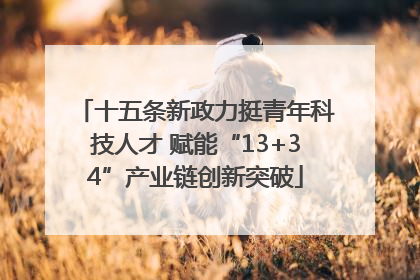 十五条新政力挺青年科技人才 赋能“13+34”产业链创新突破