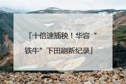十倍速插秧！华容“铁牛”下田刷新纪录