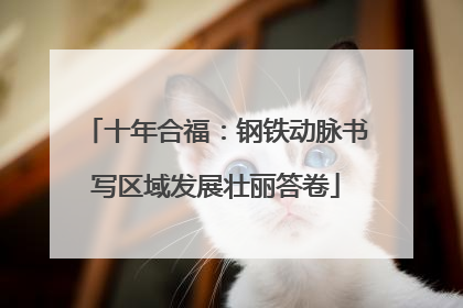 十年合福：钢铁动脉书写区域发展壮丽答卷