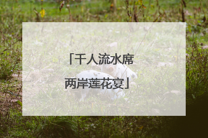千人流水席 两岸莲花宴