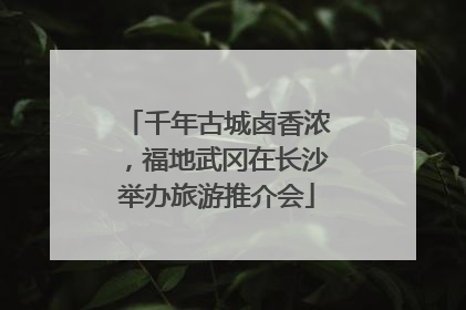 千年古城卤香浓，福地武冈在长沙举办旅游推介会