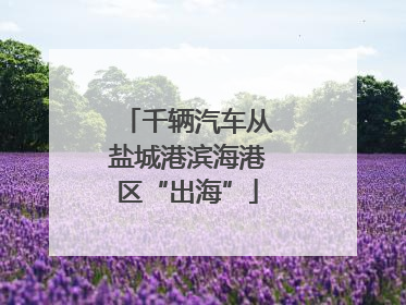千辆汽车从盐城港滨海港区“出海”