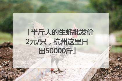 半斤大的生蚝批发价2元/只，杭州这里日出50000斤