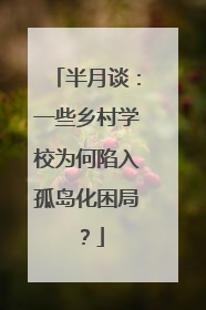 半月谈：一些乡村学校为何陷入孤岛化困局？