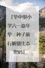 华中里小学六一嘉年华：种子旅行解锁生态密码