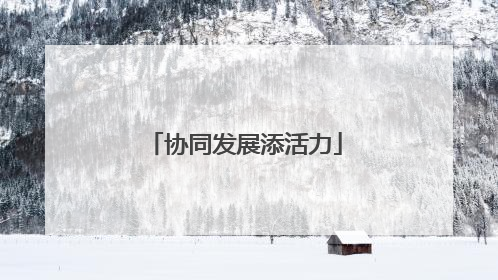 协同发展添活力