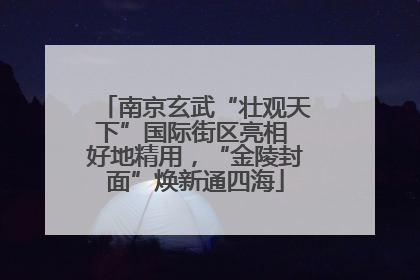 南京玄武“壮观天下”国际街区亮相 好地精用，“金陵封面”焕新通四海