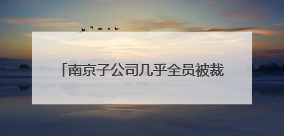南京子公司几乎全员被裁，DPU明星企业芯启源核心研发部门已人去楼空