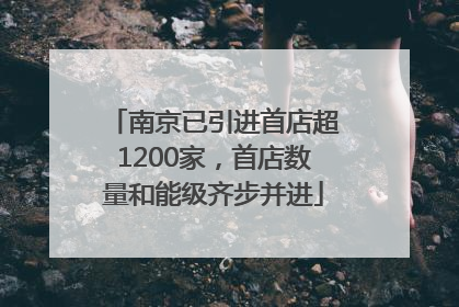 南京已引进首店超1200家，首店数量和能级齐步并进