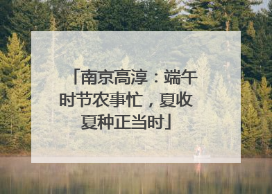 南京高淳：端午时节农事忙，夏收夏种正当时
