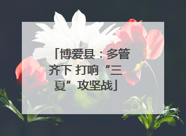 博爱县：多管齐下 打响“三夏”攻坚战
