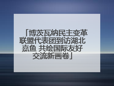 博茨瓦纳民主变革联盟代表团到访湖北嘉鱼 共绘国际友好交流新画卷