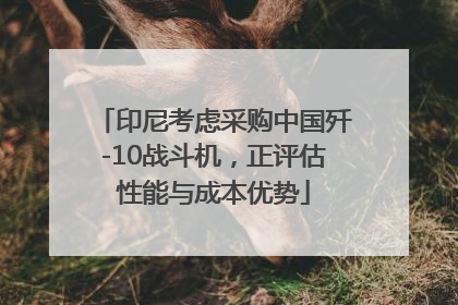 印尼考虑采购中国歼-10战斗机，正评估性能与成本优势