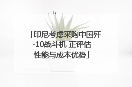 印尼考虑采购中国歼-10战斗机 正评估性能与成本优势