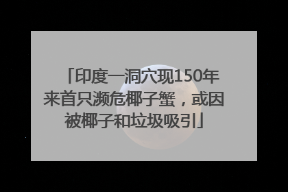 印度一洞穴现150年来首只濒危椰子蟹，或因被椰子和垃圾吸引