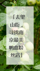 去望山街，寻找南京最美鸭血粉丝店