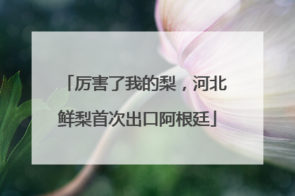 厉害了我的梨，河北鲜梨首次出口阿根廷