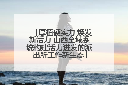 厚植硬实力 焕发新活力 山西全域系统构建活力迸发的派出所工作新生态