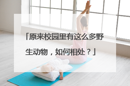 原来校园里有这么多野生动物，如何相处？
