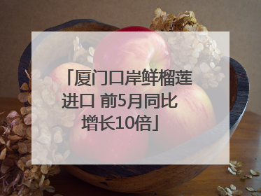 厦门口岸鲜榴莲进口 前5月同比增长10倍