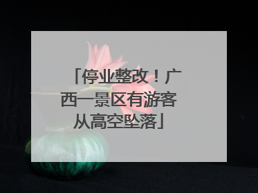 停业整改！广西一景区有游客从高空坠落