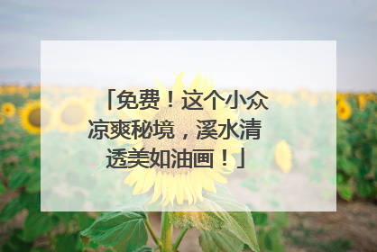 免费！这个小众凉爽秘境，溪水清透美如油画！